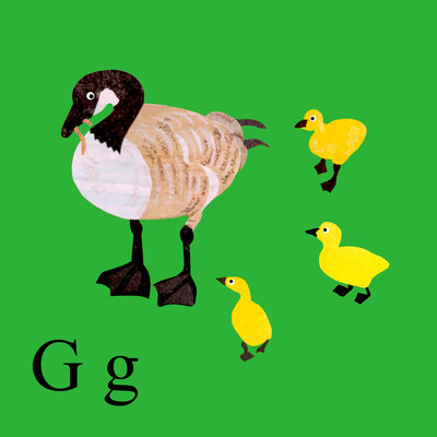 A collaged image of a goose and three goslings on a green background.