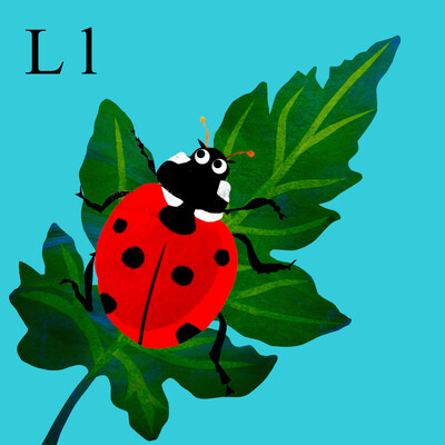 A collaged image of a ladybird on a leaf on a light bnlue background.