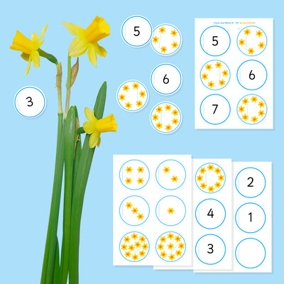 A counting cards resource with a picture of a daffodil.